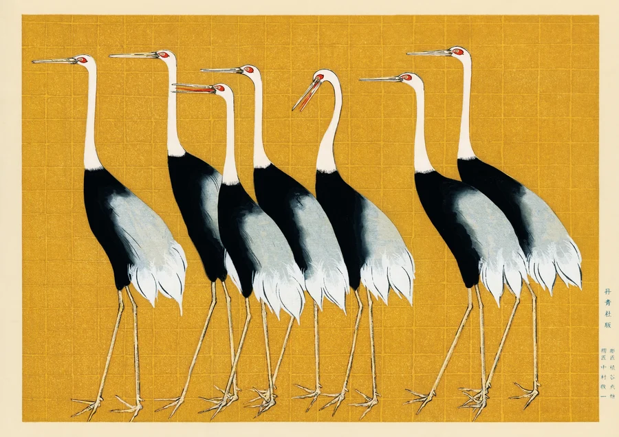 Nature birds art