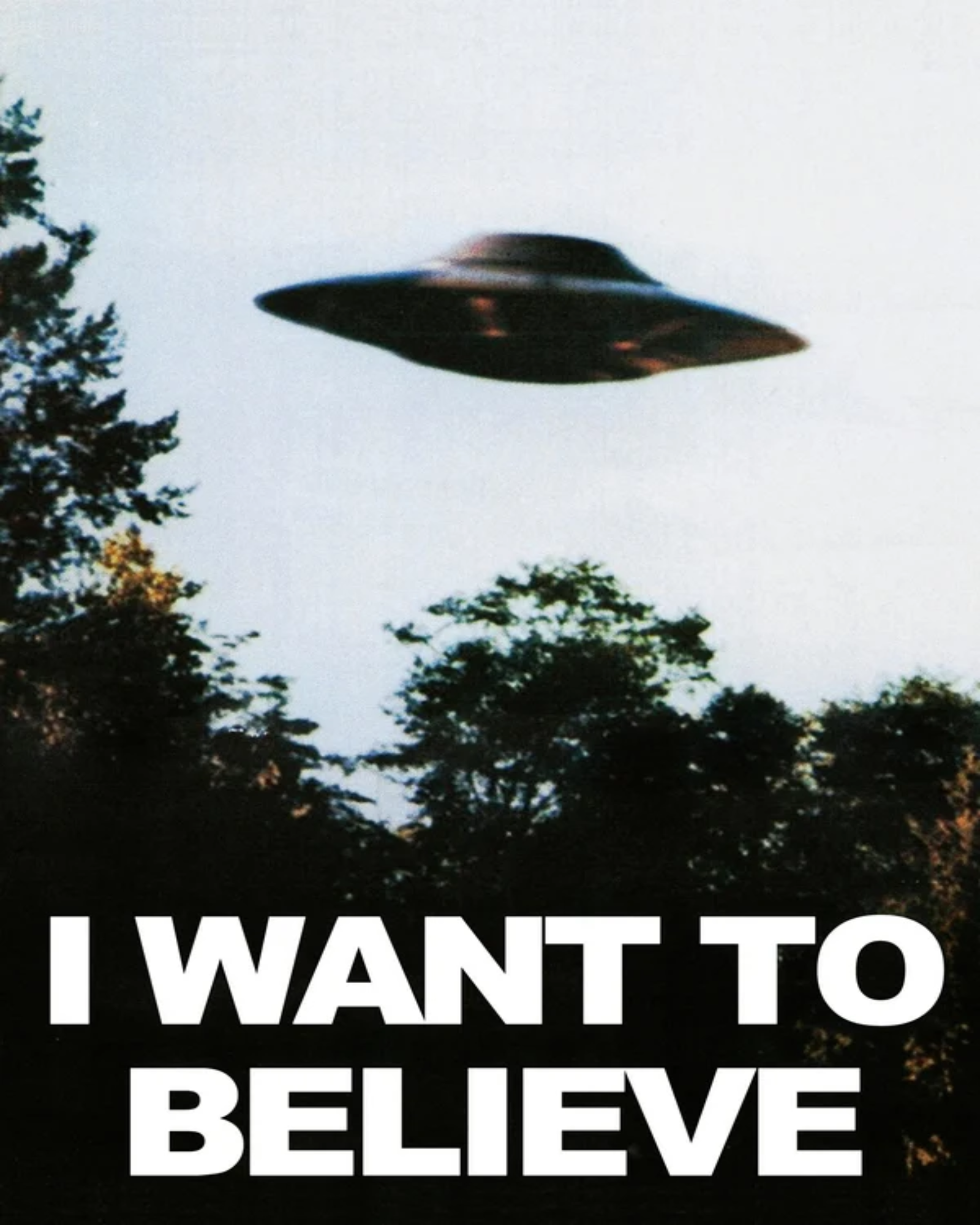 I Want to Believe
