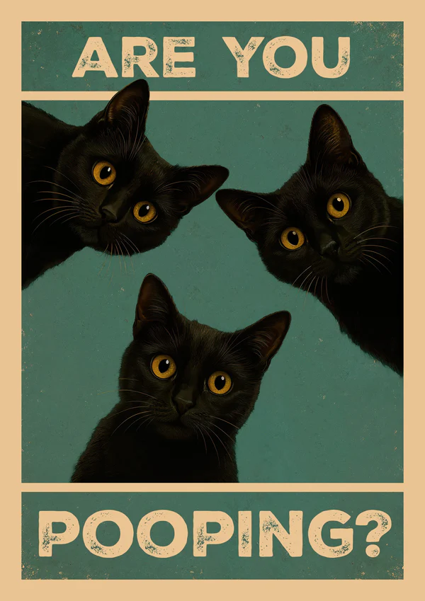 Are You Pooping? Cats