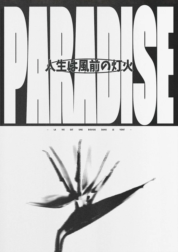Paradise